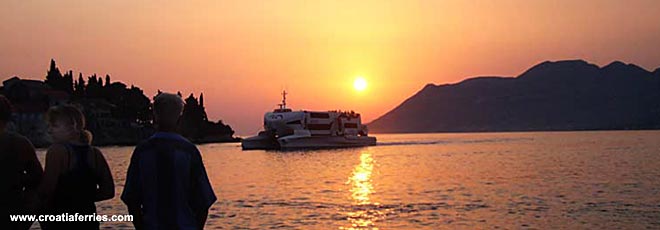Ferry Tips and Guides